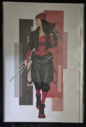 Daredevil punisher the - daredevil/punisher:,